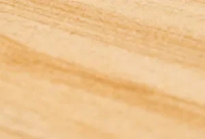 Teakwood Sandstone